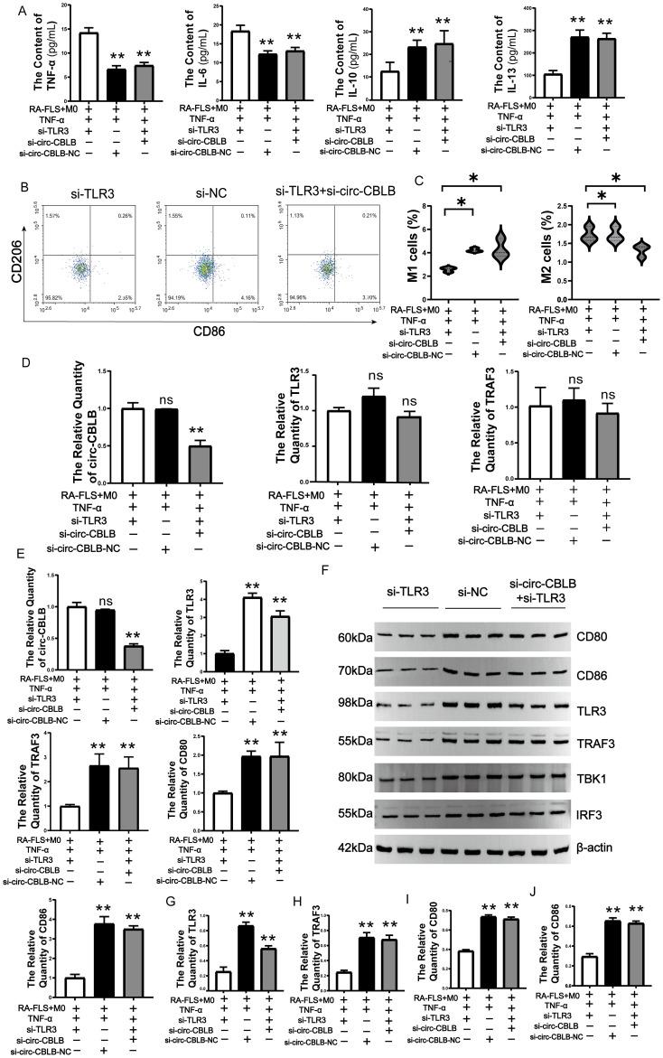 https://cdn.ncbi.nlm.nih.gov/pmc/blobs/a71b/12310475/5a9da80aaf94/fimmu-16-1627389-g007.jpg