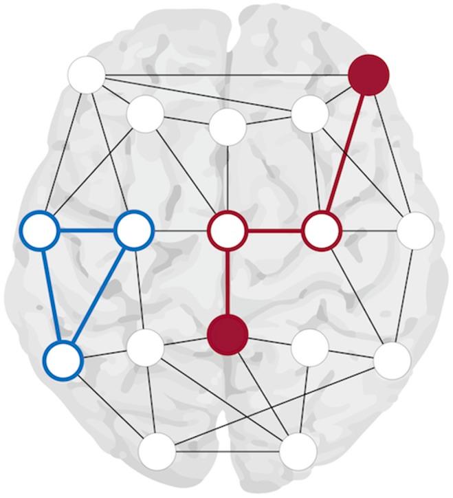 https://cdn.ncbi.nlm.nih.gov/pmc/blobs/a71d/4262431/f874b1d734f8/pone.0114606.g001.jpg