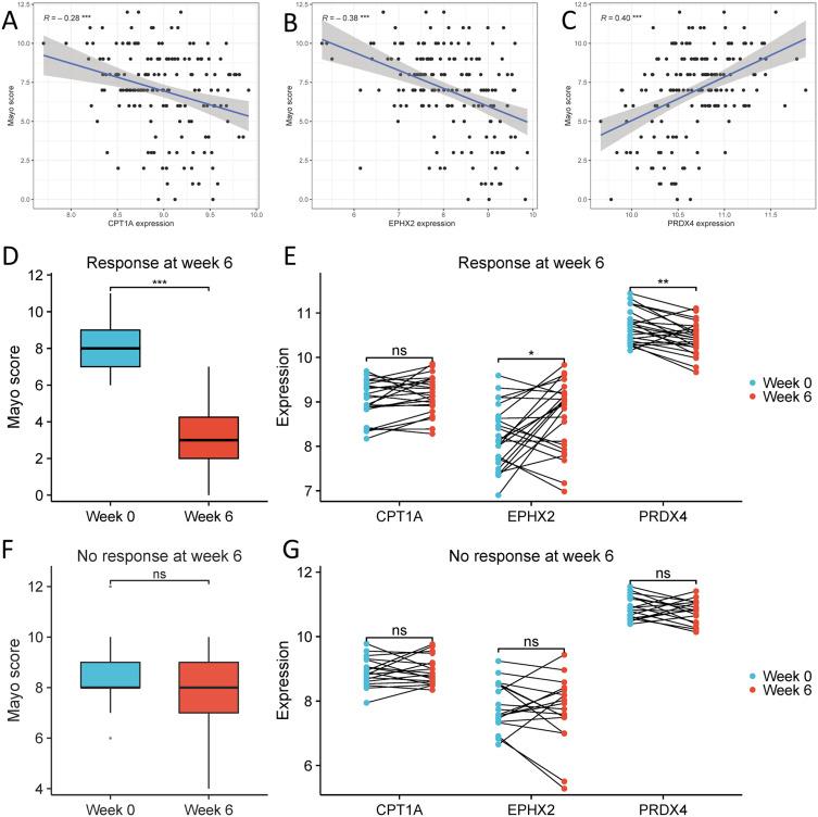 https://cdn.ncbi.nlm.nih.gov/pmc/blobs/a71e/12050211/683463253bad/JIR-18-5835-g0007.jpg
