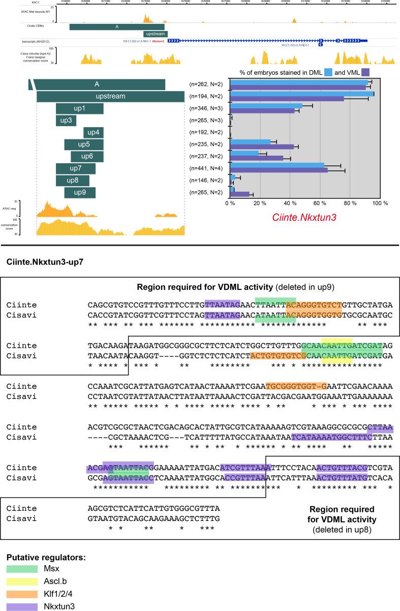 https://cdn.ncbi.nlm.nih.gov/pmc/blobs/a71e/7710358/09dd08d1922e/elife-59157-fig3-figsupp2.jpg