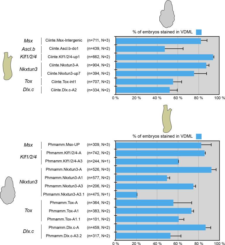 https://cdn.ncbi.nlm.nih.gov/pmc/blobs/a71e/7710358/26a62ef6d665/elife-59157-fig6-figsupp1.jpg