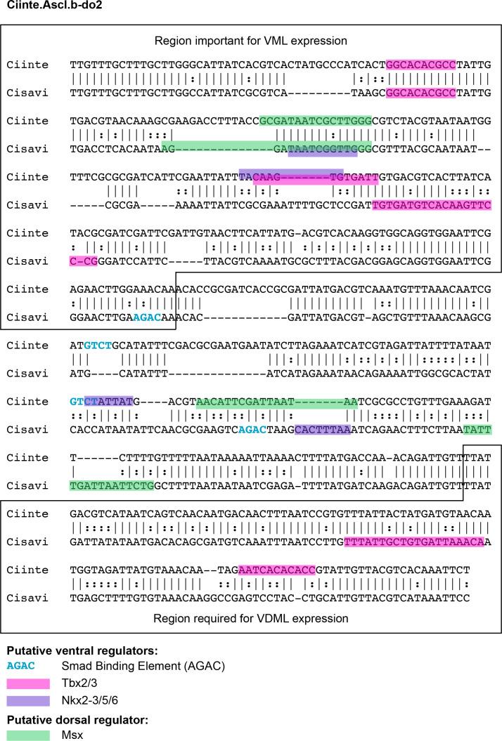 https://cdn.ncbi.nlm.nih.gov/pmc/blobs/a71e/7710358/a13ea7573c25/elife-59157-fig2-figsupp1.jpg