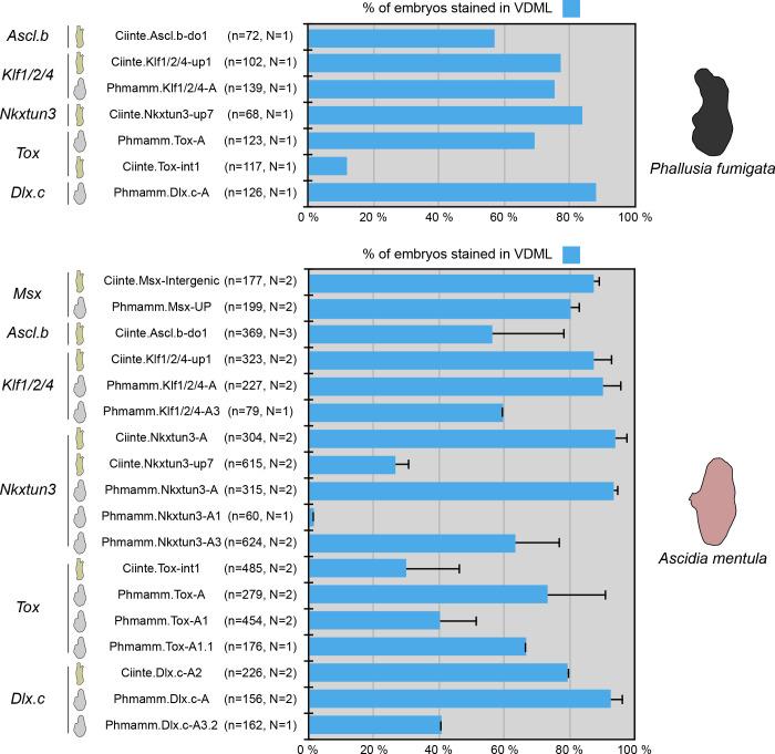 https://cdn.ncbi.nlm.nih.gov/pmc/blobs/a71e/7710358/a1e75f301d81/elife-59157-fig6-figsupp2.jpg