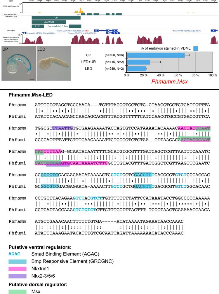 https://cdn.ncbi.nlm.nih.gov/pmc/blobs/a71e/7710358/a66a16353712/elife-59157-fig5-figsupp1.jpg