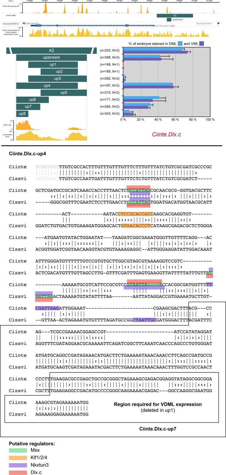 https://cdn.ncbi.nlm.nih.gov/pmc/blobs/a71e/7710358/bdc5f1048ee8/elife-59157-fig3-figsupp4.jpg