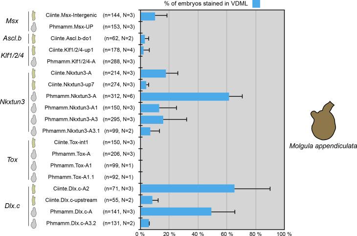 https://cdn.ncbi.nlm.nih.gov/pmc/blobs/a71e/7710358/e590da882f82/elife-59157-fig9-figsupp1.jpg