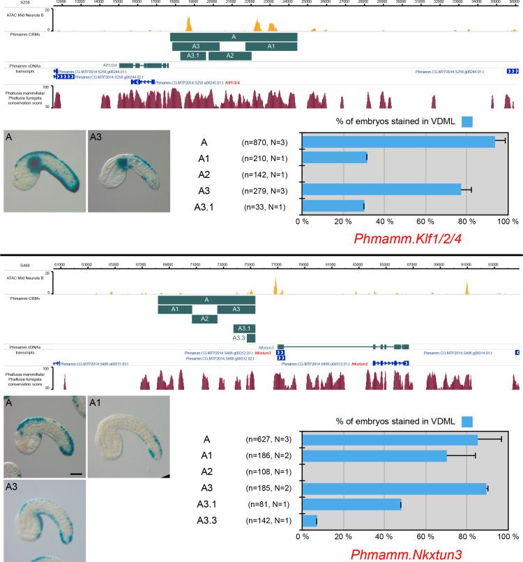 https://cdn.ncbi.nlm.nih.gov/pmc/blobs/a71e/7710358/e621485a7fa9/elife-59157-fig5-figsupp2.jpg
