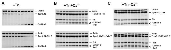 https://cdn.ncbi.nlm.nih.gov/pmc/blobs/a720/10671271/2ac347707629/ijms-24-16457-g002.jpg