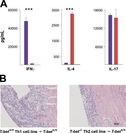 https://cdn.ncbi.nlm.nih.gov/pmc/blobs/a720/2118365/16b5d822cf90/jem2032009f04.jpg