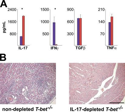 https://cdn.ncbi.nlm.nih.gov/pmc/blobs/a720/2118365/42208cfc0a45/jem2032009f05.jpg