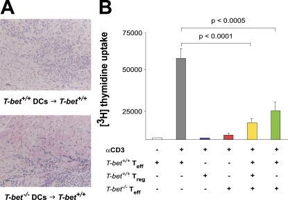 https://cdn.ncbi.nlm.nih.gov/pmc/blobs/a720/2118365/94ea1c626584/jem2032009f06.jpg