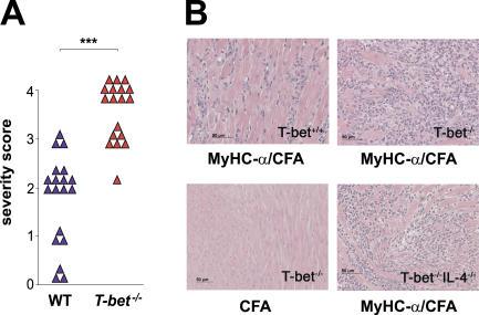 https://cdn.ncbi.nlm.nih.gov/pmc/blobs/a720/2118365/f050007be0de/jem2032009f01.jpg