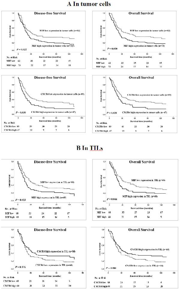 https://cdn.ncbi.nlm.nih.gov/pmc/blobs/a721/3623724/fa7e56b66e15/1479-5876-11-60-2.jpg