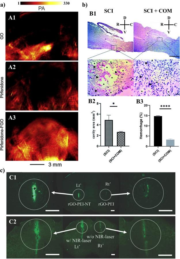 https://cdn.ncbi.nlm.nih.gov/pmc/blobs/a724/9776589/dd91c9fc7068/nn2c04756_0005.jpg