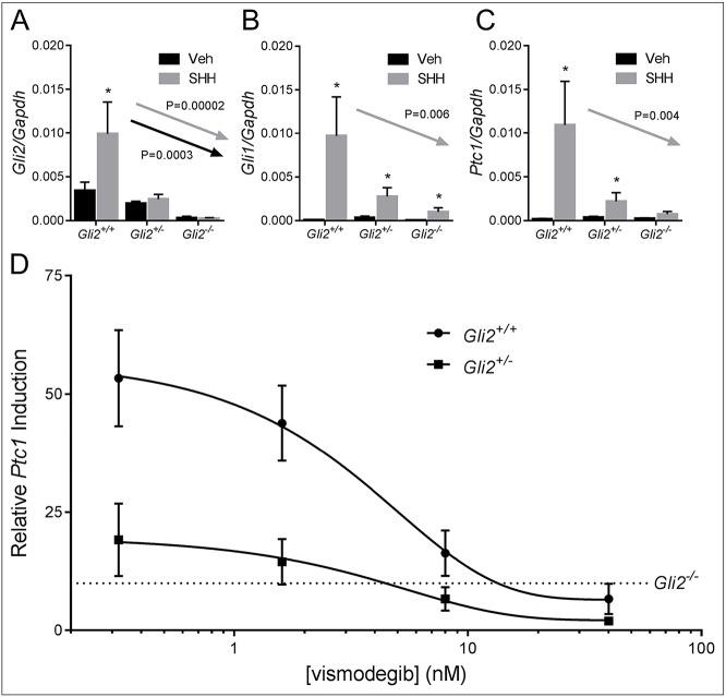 https://cdn.ncbi.nlm.nih.gov/pmc/blobs/a725/5117230/d9f4a237f141/dmm-9-026328-g6.jpg