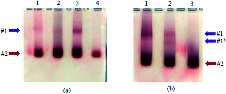 https://cdn.ncbi.nlm.nih.gov/pmc/blobs/a726/9072845/9402d05757e9/c9ra08015e-f6.jpg