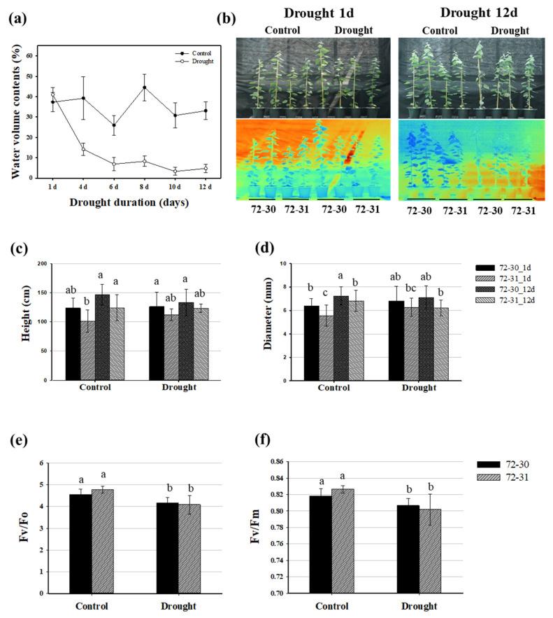https://cdn.ncbi.nlm.nih.gov/pmc/blobs/a727/10535988/85717ea030df/plants-12-03238-g001.jpg