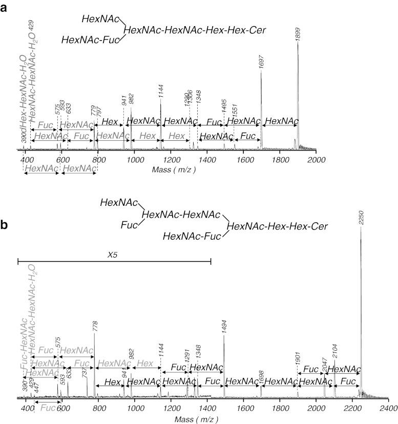 https://cdn.ncbi.nlm.nih.gov/pmc/blobs/a727/3606520/18253283712e/10719_2012_9436_Fig4_HTML.jpg