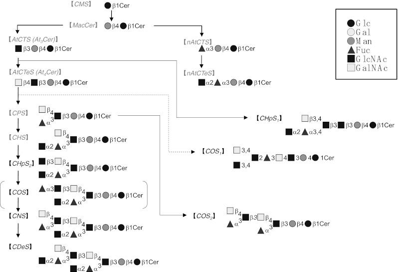 https://cdn.ncbi.nlm.nih.gov/pmc/blobs/a727/3606520/e90b49826723/10719_2012_9436_Fig6_HTML.jpg