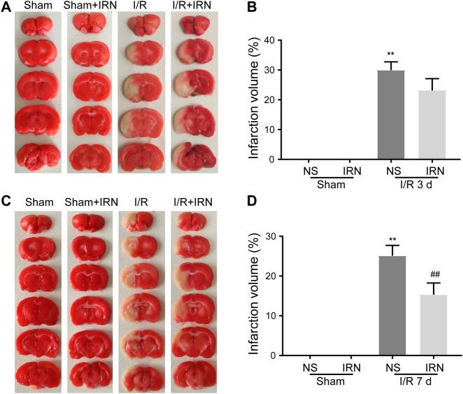 https://cdn.ncbi.nlm.nih.gov/pmc/blobs/a729/7907603/18797121031b/fphar-12-574793-g001.jpg
