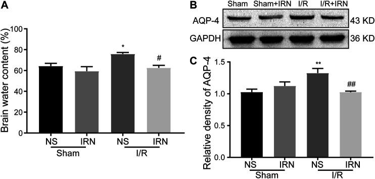https://cdn.ncbi.nlm.nih.gov/pmc/blobs/a729/7907603/fbe36de58f36/fphar-12-574793-g003.jpg