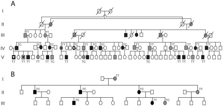 https://cdn.ncbi.nlm.nih.gov/pmc/blobs/a72b/3493449/738bfabd51b1/pgen.1003040.g004.jpg