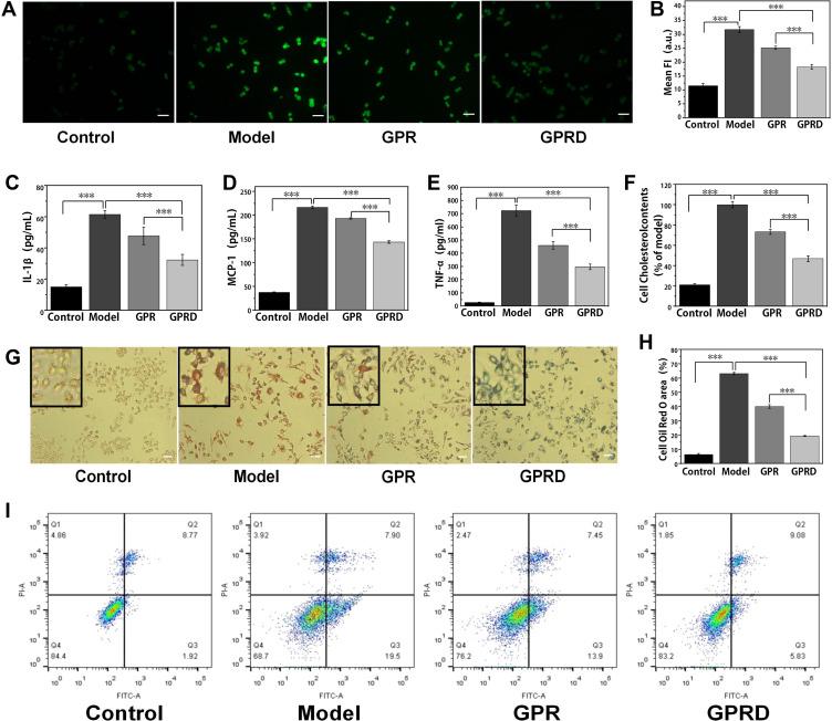 https://cdn.ncbi.nlm.nih.gov/pmc/blobs/a72b/9677925/acaff60751cc/IJN-17-5413-g0004.jpg