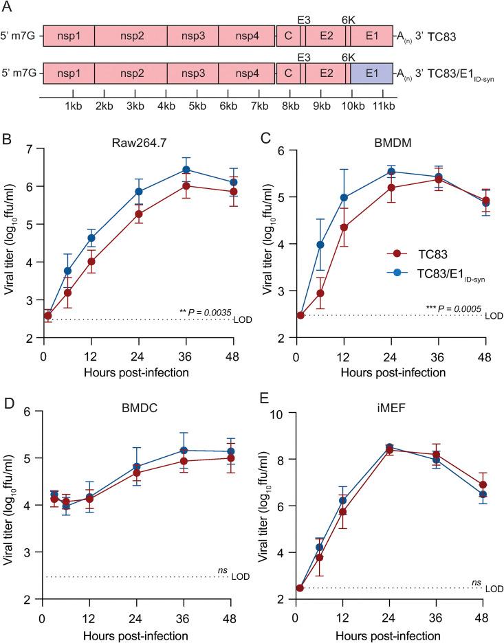 https://cdn.ncbi.nlm.nih.gov/pmc/blobs/a72e/11463830/6df411a5d2ad/ppat.1012179.g002.jpg