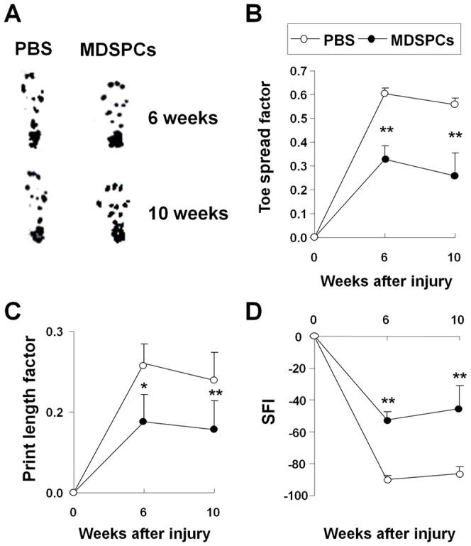 https://cdn.ncbi.nlm.nih.gov/pmc/blobs/a72f/3857244/fcdecc2bed57/pone.0082173.g003.jpg