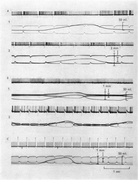 https://cdn.ncbi.nlm.nih.gov/pmc/blobs/a730/1359470/e231e510630a/jphysiol01217-0130-a.jpg