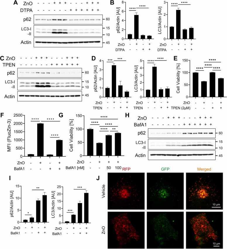 https://cdn.ncbi.nlm.nih.gov/pmc/blobs/a732/10160241/8548cfb5751b/gr3.jpg