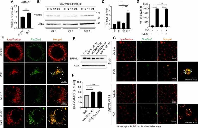 https://cdn.ncbi.nlm.nih.gov/pmc/blobs/a732/10160241/b12aabdb9bea/gr4.jpg