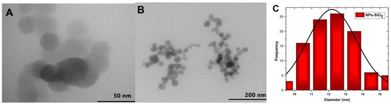 https://cdn.ncbi.nlm.nih.gov/pmc/blobs/a732/11356782/3354bbf28c58/molecules-29-03850-g003.jpg