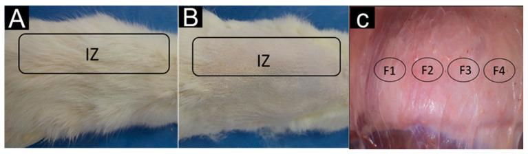 https://cdn.ncbi.nlm.nih.gov/pmc/blobs/a732/11356782/d22a670d3ff8/molecules-29-03850-g009.jpg