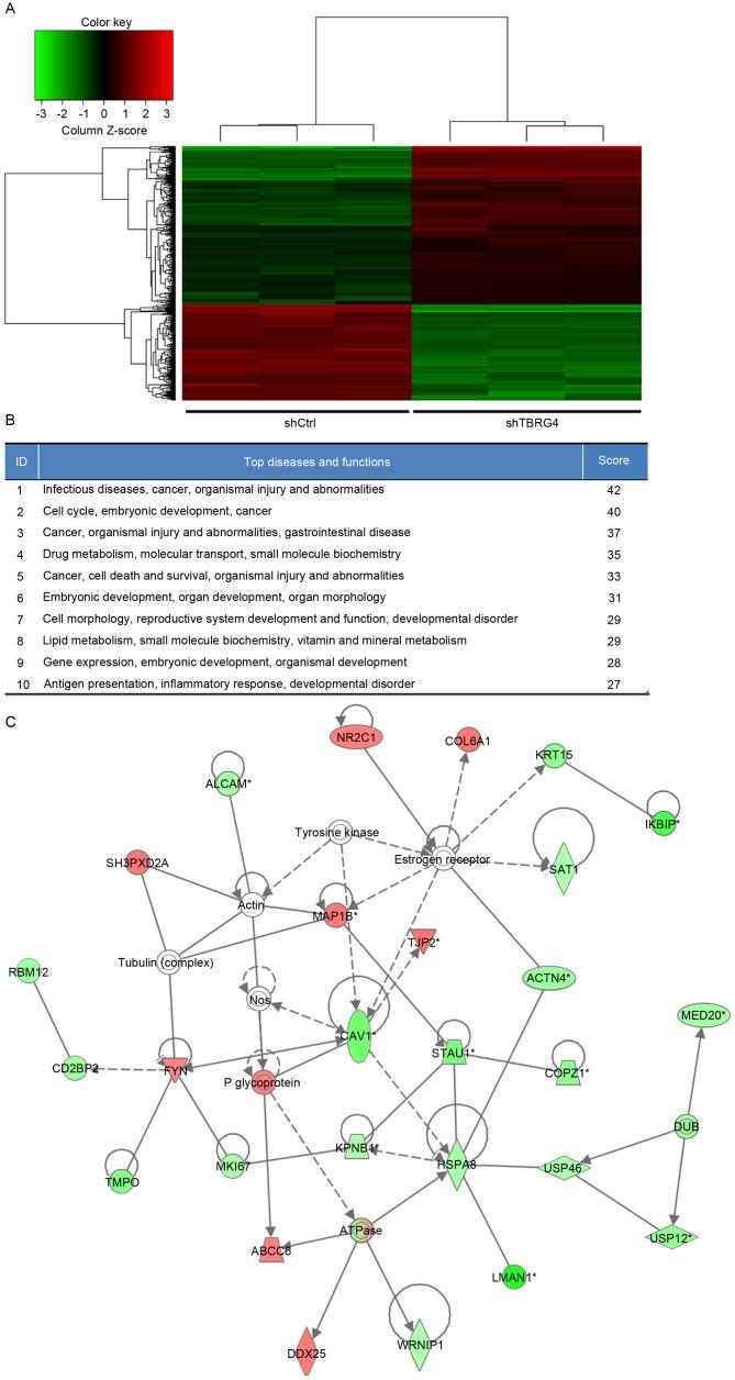 https://cdn.ncbi.nlm.nih.gov/pmc/blobs/a732/5769239/3e47cccd66b0/ol-15-01-0121-g01.jpg