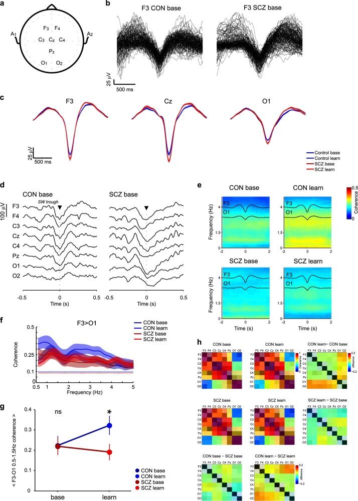 https://cdn.ncbi.nlm.nih.gov/pmc/blobs/a732/6828759/5314b2d1b58a/41537_2019_86_Fig2_HTML.jpg