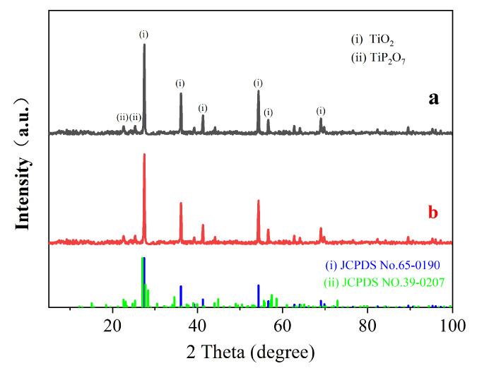 https://cdn.ncbi.nlm.nih.gov/pmc/blobs/a733/11359248/27573c03666a/polymers-16-02302-g005.jpg