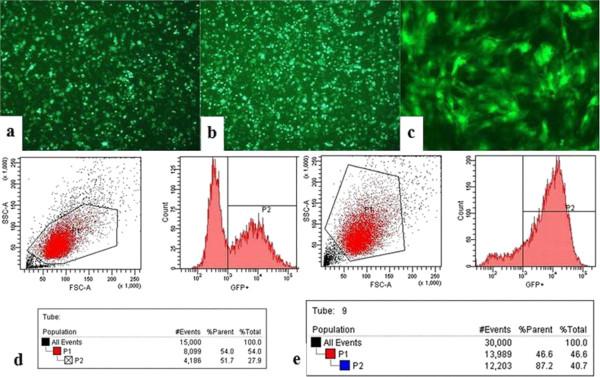 https://cdn.ncbi.nlm.nih.gov/pmc/blobs/a733/3974181/d476eb8f573e/1476-511X-13-53-1.jpg