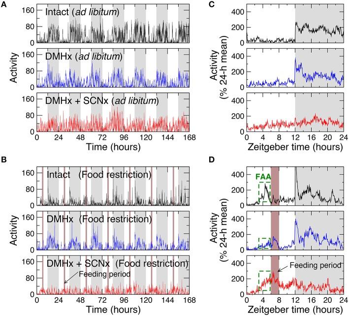 https://cdn.ncbi.nlm.nih.gov/pmc/blobs/a734/4870237/50aa14eaa46c/fphys-07-00174-g0001.jpg