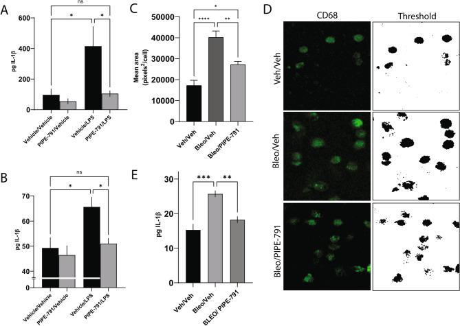 https://cdn.ncbi.nlm.nih.gov/pmc/blobs/a738/12400753/02813b84ca83/12931_2025_3340_Fig9_HTML.jpg