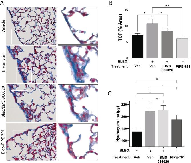 https://cdn.ncbi.nlm.nih.gov/pmc/blobs/a738/12400753/1819ea20c91d/12931_2025_3340_Fig8_HTML.jpg
