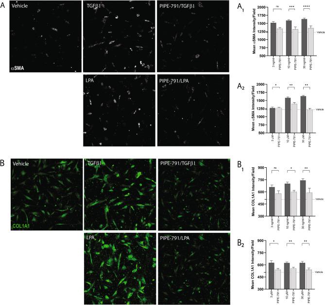 https://cdn.ncbi.nlm.nih.gov/pmc/blobs/a738/12400753/75ebc61f3128/12931_2025_3340_Fig2_HTML.jpg