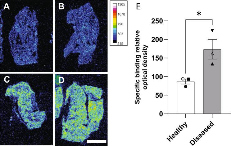https://cdn.ncbi.nlm.nih.gov/pmc/blobs/a738/12400753/82b069baaa15/12931_2025_3340_Fig3_HTML.jpg