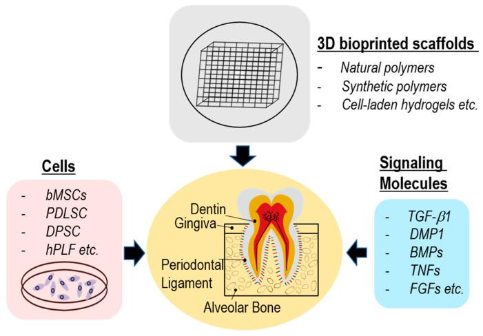 https://cdn.ncbi.nlm.nih.gov/pmc/blobs/a739/10457894/03f32319201a/pharmaceutics-15-02118-g001.jpg