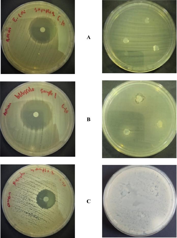 https://cdn.ncbi.nlm.nih.gov/pmc/blobs/a739/9171441/02f7a7b173dc/gr7.jpg