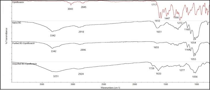 https://cdn.ncbi.nlm.nih.gov/pmc/blobs/a739/9171441/ca19b490a2ff/gr5.jpg