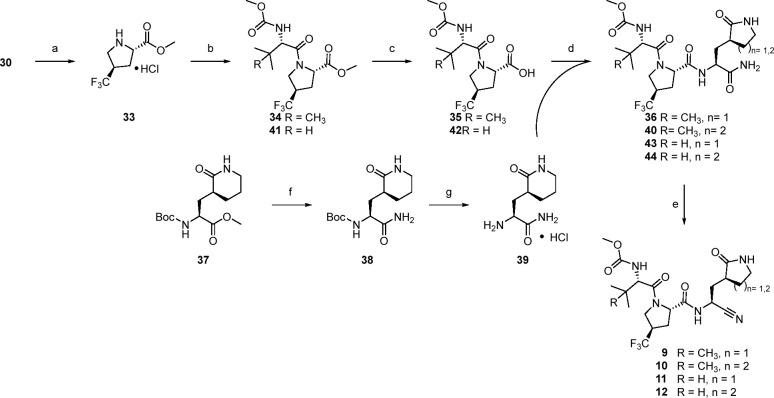 https://cdn.ncbi.nlm.nih.gov/pmc/blobs/a73a/11345836/12ece6a1ad8b/jm3c02469_0009.jpg