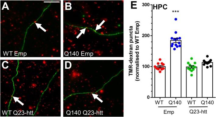 https://cdn.ncbi.nlm.nih.gov/pmc/blobs/a73b/12181757/8ac8e2270b1b/JNC-169-0-g003.jpg