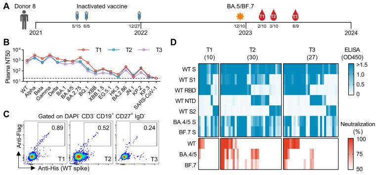 https://cdn.ncbi.nlm.nih.gov/pmc/blobs/a73b/12197520/1510cad5b324/vaccines-13-00592-g001.jpg