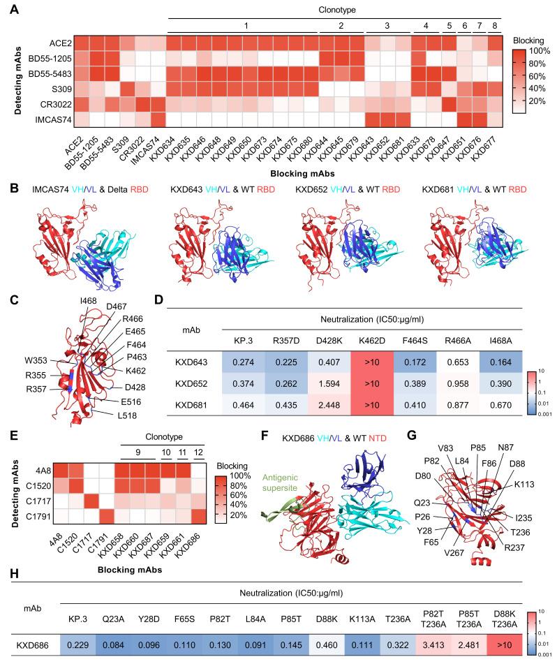 https://cdn.ncbi.nlm.nih.gov/pmc/blobs/a73b/12197520/4082d0a9ae15/vaccines-13-00592-g003.jpg